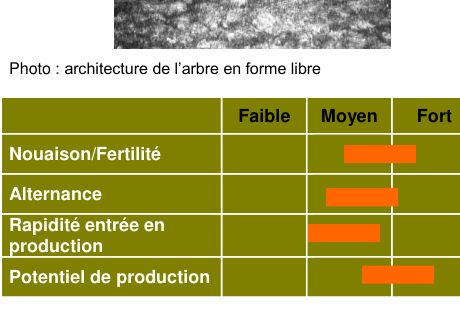 Schéma de fertilité et production — Avrolles