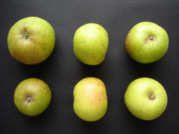 Pommes Bedan