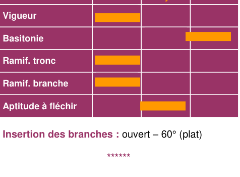 Schéma morphologique de l'arbre — Bedan