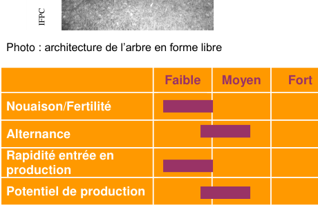 Schéma de fertilité et production — Bedan