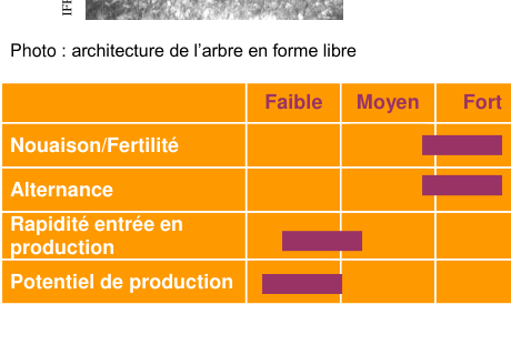 Schéma de fertilité et production — Binet Rouge