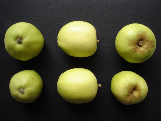 Pommes Bisquet