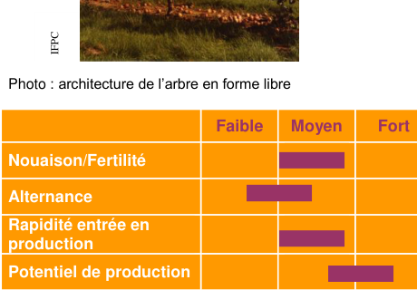Schéma de fertilité et production — Bisquet