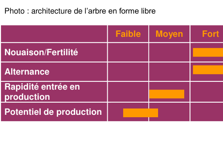Schéma de fertilité et production — Clos Renaux
