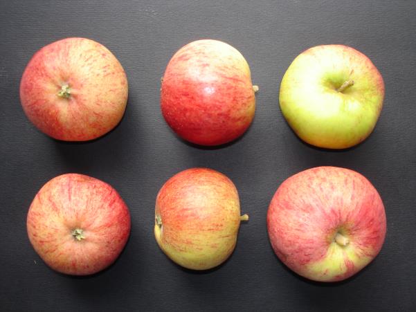 Pommes Dabinet