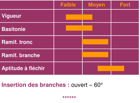 Schéma morphologique de l'arbre — Dabinet