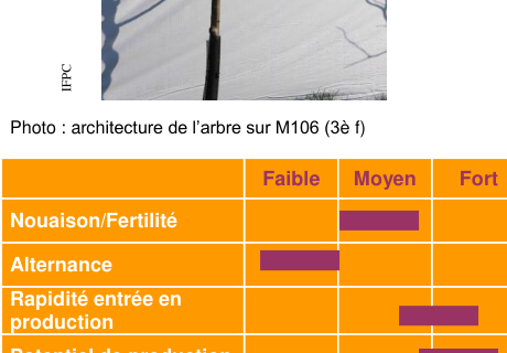 Schéma de fertilité et production — Dabinet