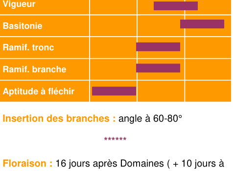 Schéma morphologique de l'arbre — Douce Coetligne