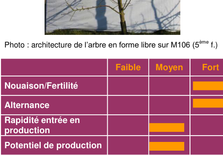 Schéma de fertilité et production — Douce Coetligne