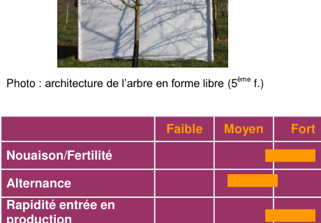 Schéma de fertilité et production — Douce de l'Avent COV