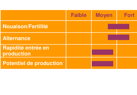Schéma de fertilité et production — Douce Moën