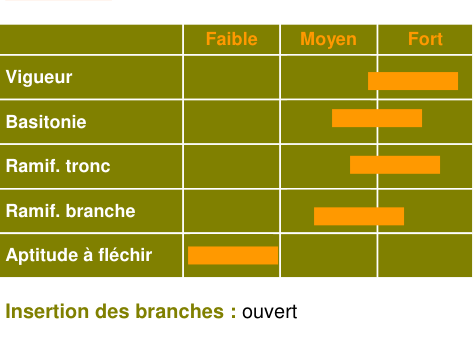 Schéma morphologique de l'arbre — Fréquin Rouge Petit