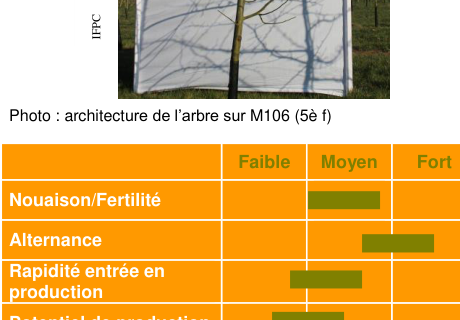 Schéma de fertilité et production — Fréquin Rouge Petit