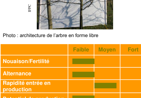 Schéma de fertilité et production — Fréquinette COV