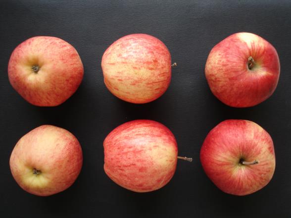 Pommes Judeline®