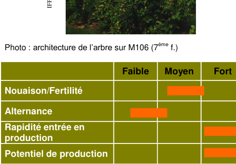 Schéma de fertilité et production — Judeline®