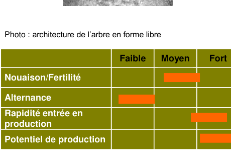 Schéma de fertilité et production — Judor