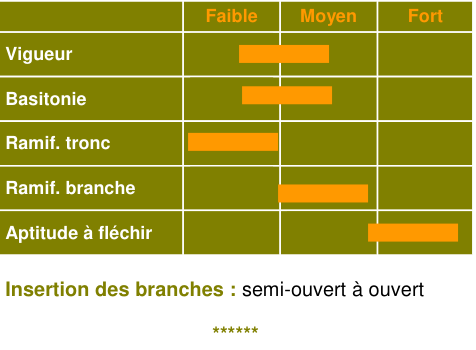 Schéma morphologique de l'arbre — Kéramère COV