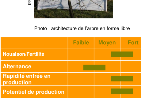 Schéma de fertilité et production — Kéramère COV