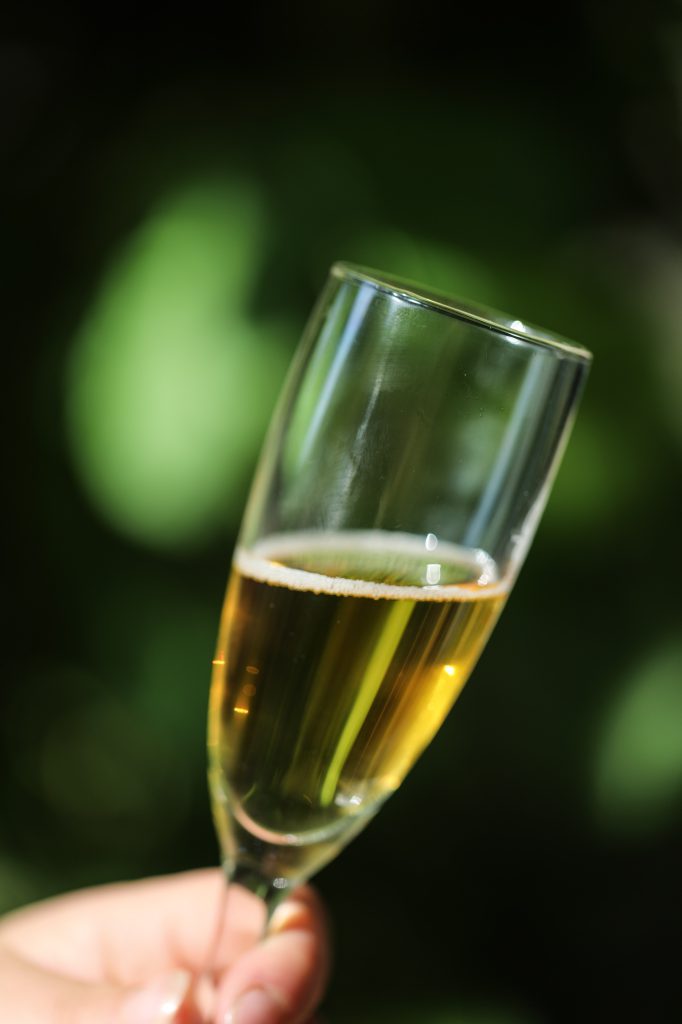 Flûte de cidre ambré pétillant tenue en main dans un jardin ensoleillé