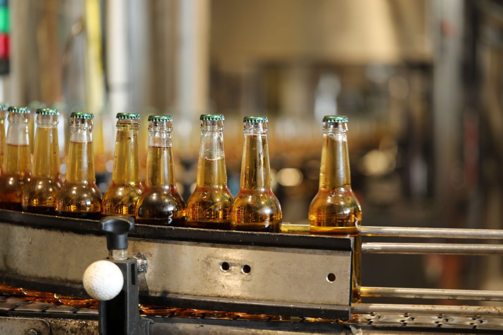 Rangée de bouteilles cidre ambré sur convoyeur industriel avec capsules vertes