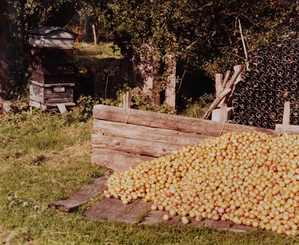 Tas de pommes à cidre sur palette avec ruche et pile de bouteilles vides dans un verger