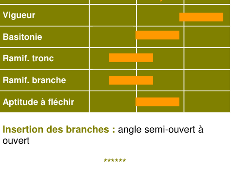 Schéma morphologique de l'arbre — Marie Ménard