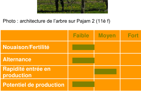 Schéma de fertilité et production — Marie Ménard