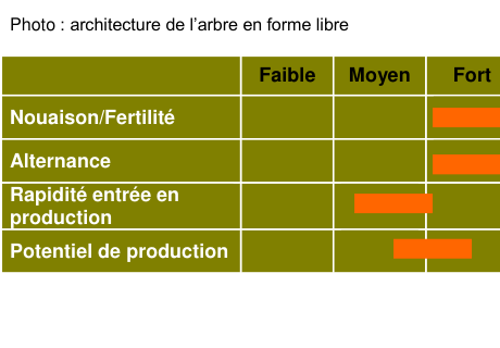 Schéma de fertilité et production — Petit Jaune