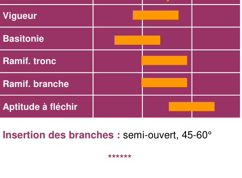 Schéma morphologique de l'arbre — Saireline COV