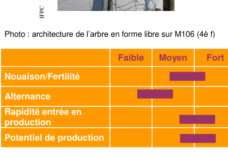 Schéma de fertilité et production — Saireline COV