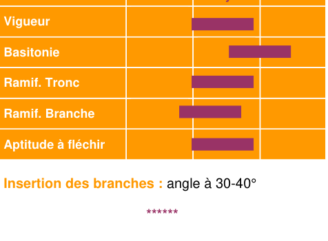 Schéma morphologique de l'arbre — Tréladienne COV