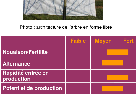 Schéma de fertilité et production — Tréladienne COV